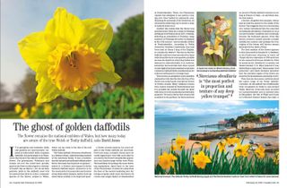 Country Life 19 February 2025