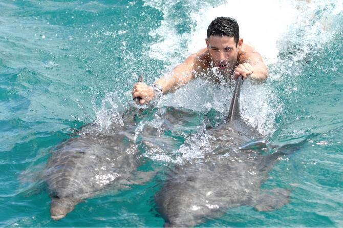George Hincapie during a dolphin ride