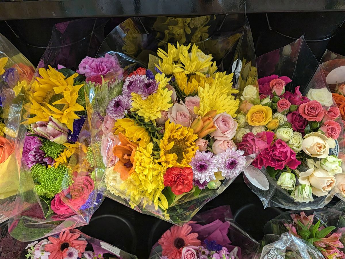 Google Pixel 11 Pro Fold camera sample.