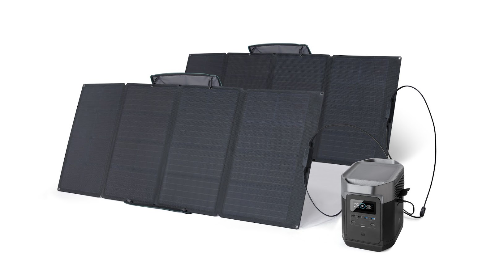 EcoFlow DELTA Portable Power Station and two 110 watt solar panels.