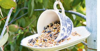 DIY bird feeder made using a cup and saucer hanging in a garden tree
