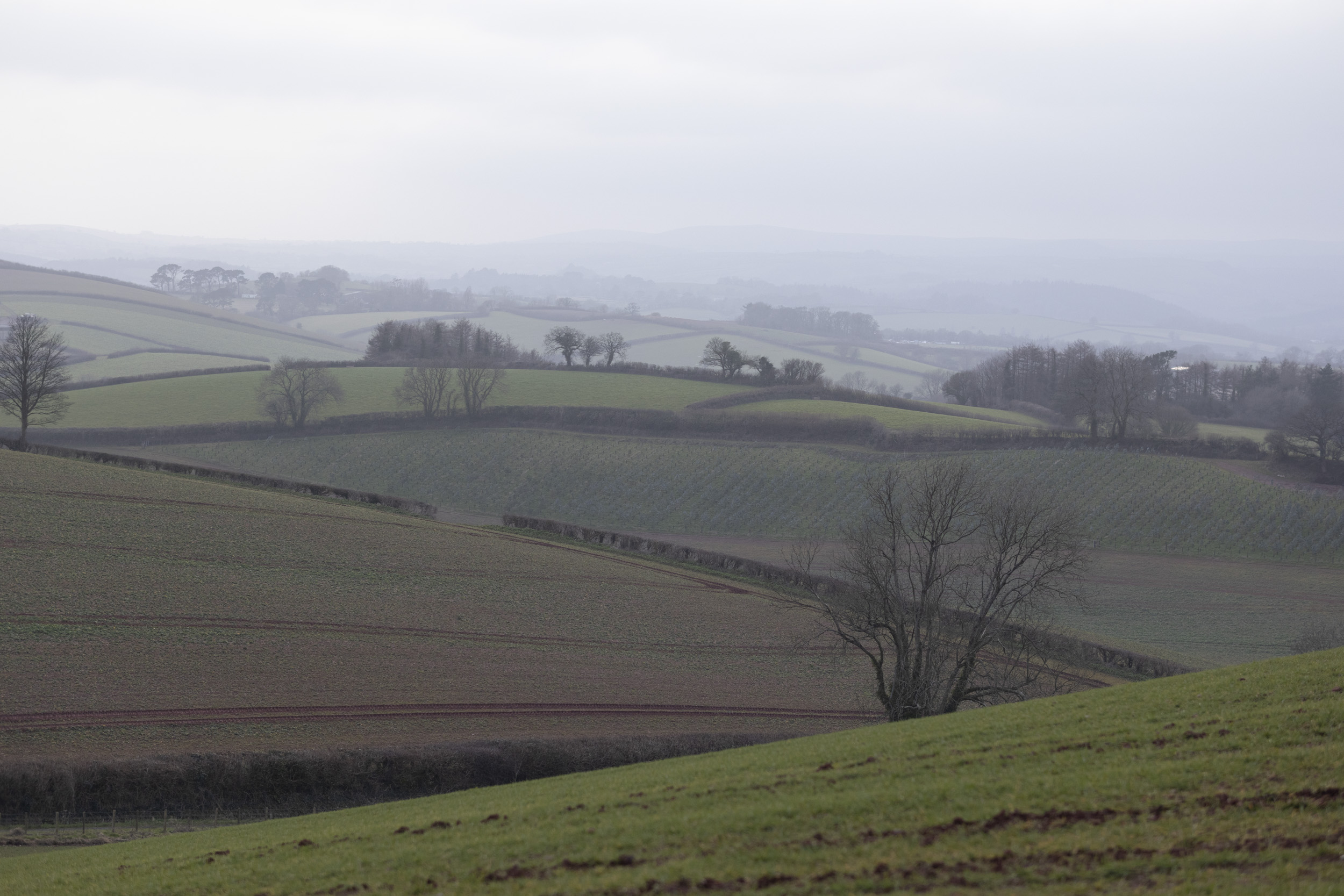 Sigma 56mm F1.4 DC DN Contemporary image gallery: vista of rolling hills on a cloudy day
