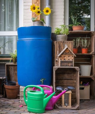 blue rain barrel in a backyard with watering cans in front of it