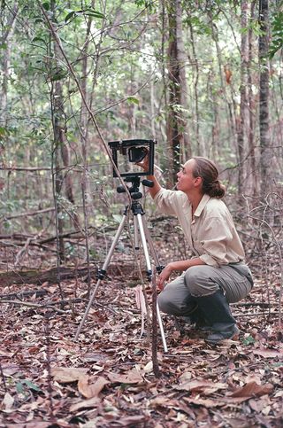 Jennifer K. Balch taking a hemispherical photo of the forest canopy to determine the damaging effects of fire on trees (September 2005).