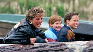 Princess Diana, Prince Harry and Prince William