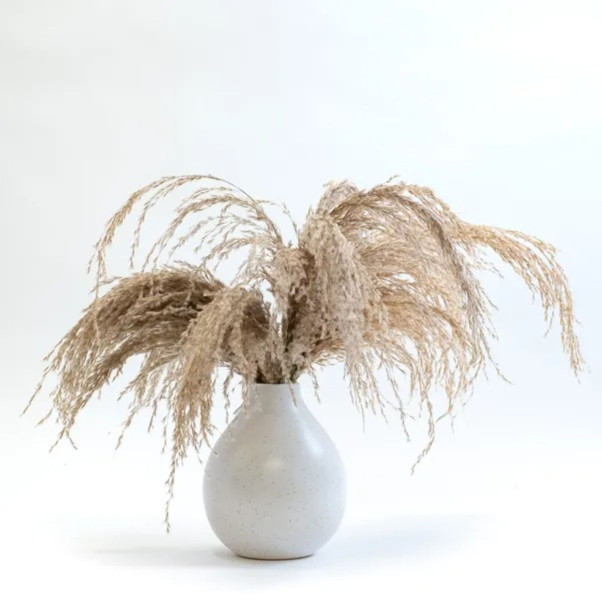 pampas vase 