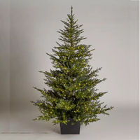 John Lewis Cotswold Potted Pre-lit Christmas Tree 6ft