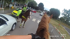 GPolice.png