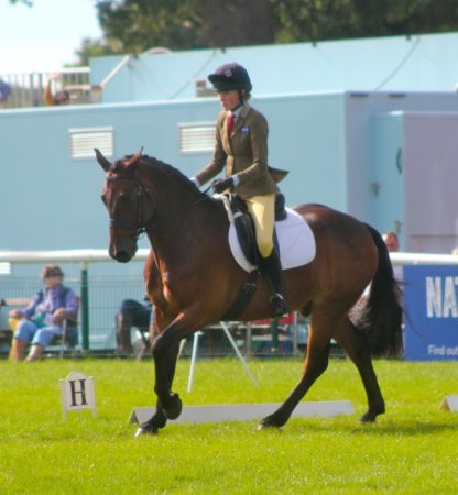 Cash and I during the dressage phase at Burghley