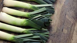 Leeks in a row