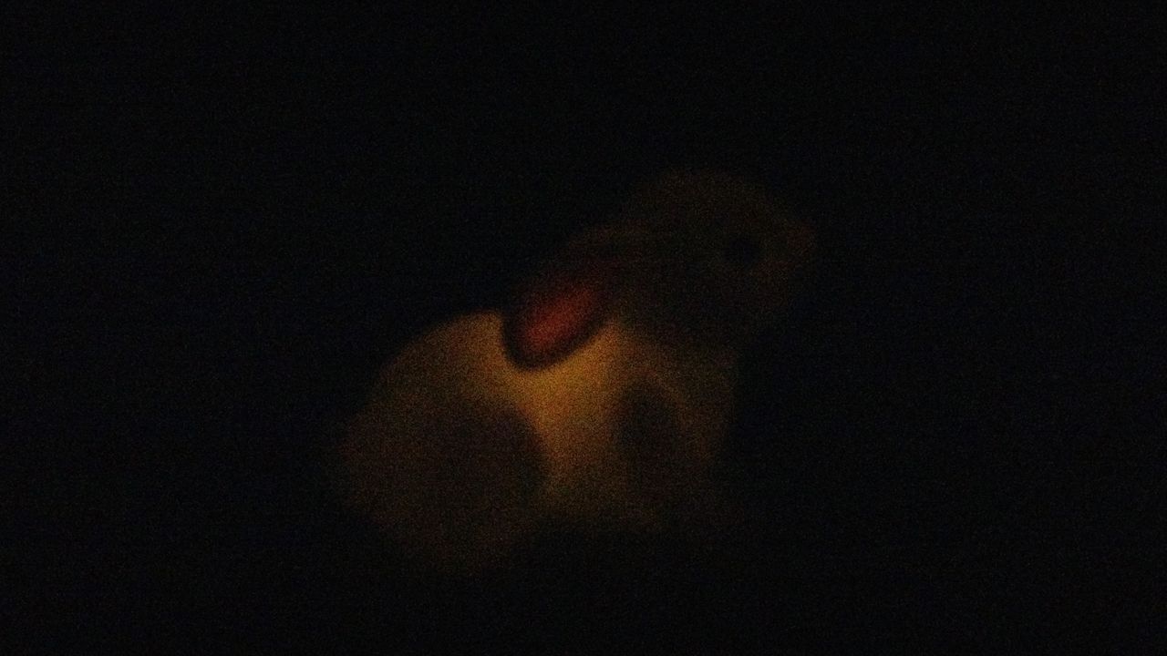 This is our super low-light test... this light can barely be seen in the pitch black, yet the U11 has done well to find this much detail