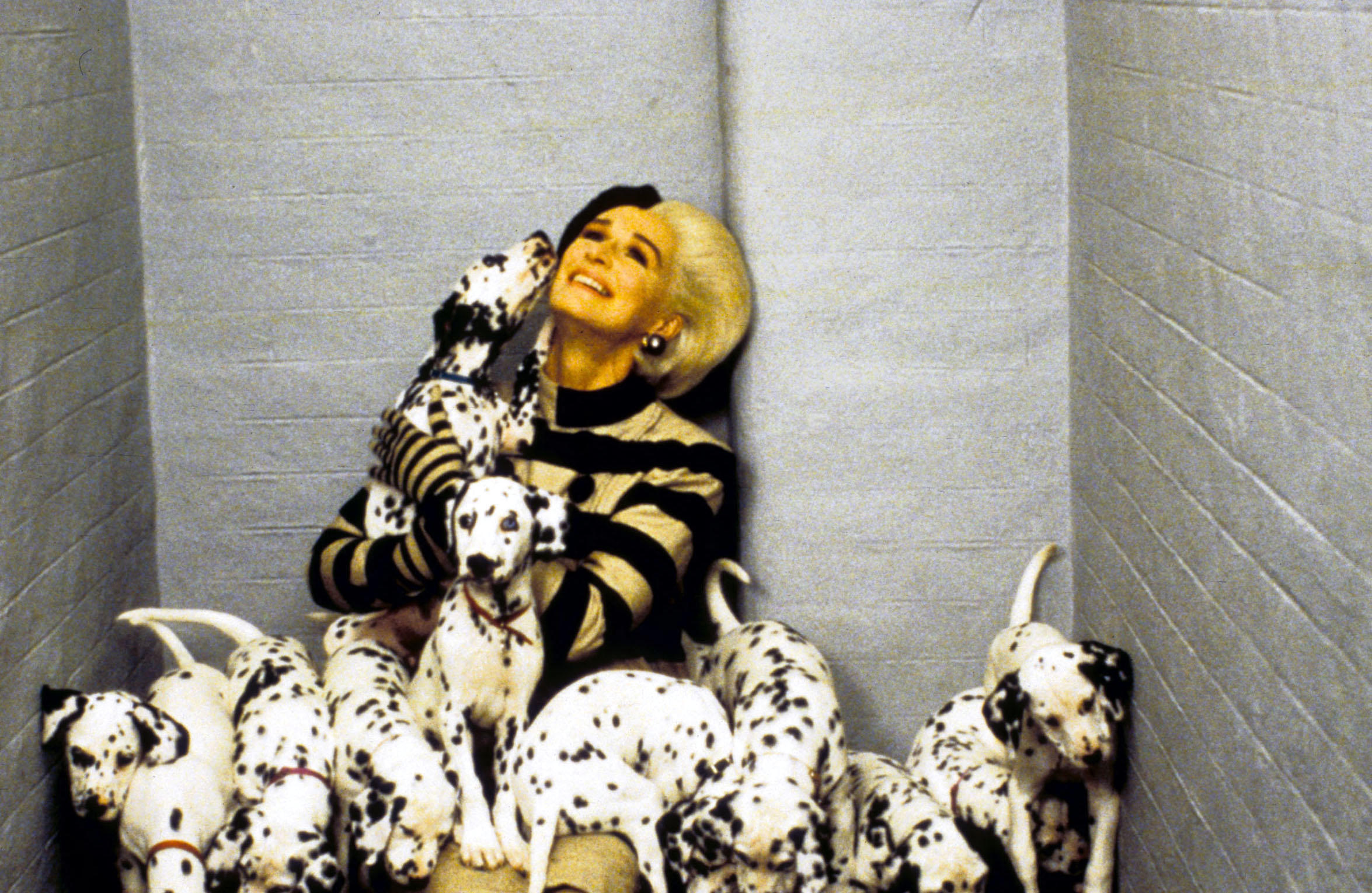 Glen Close at Cruella De Vil sits on the floor surrounded by dalmatian puppies, smiling as several climb over her and lick her face.