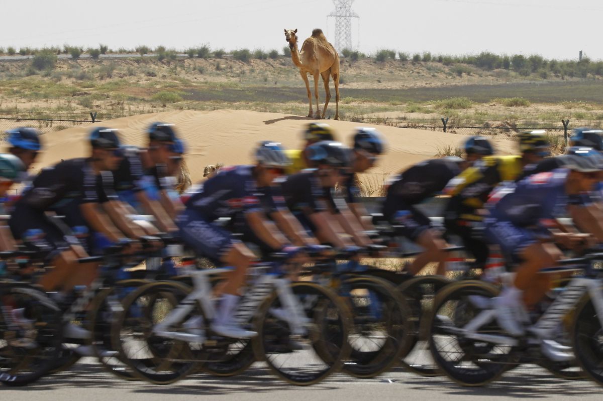 UAE Tour 2022 4th Edition 7th stage Al Ain Jebel Hafeet 148 km 26022022 Scenery photo Luca BettiniSprintCyclingAgency2022