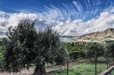Terre-Nere_sky.jpg