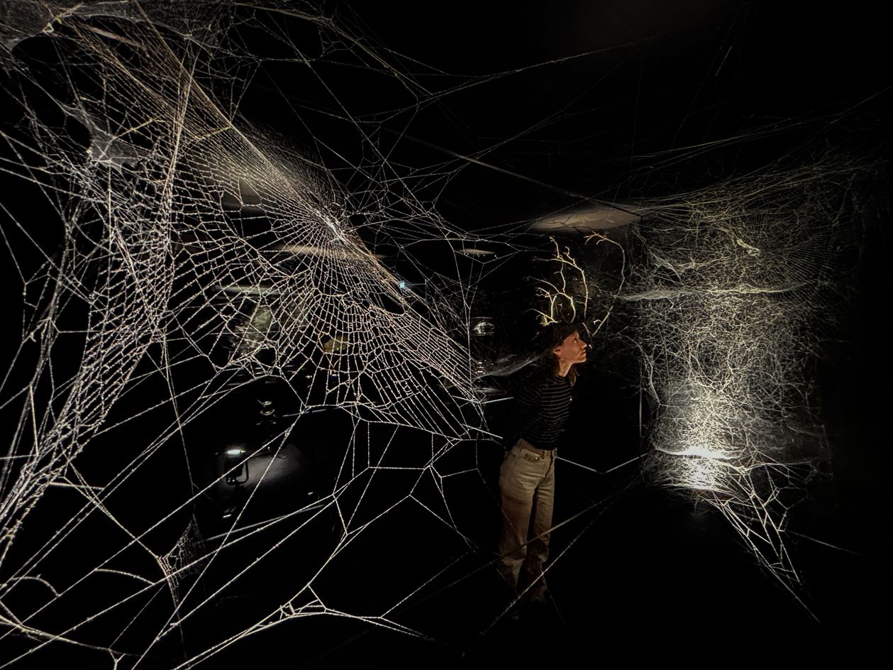 World(ing)WideWeb(s).Life, 2023. Installation view at Tomás Saraceno In Collaboration: Web(s) of Life, Serpentine, London, 2023