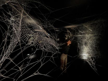 Images show spiderwebs around the world, not all found in