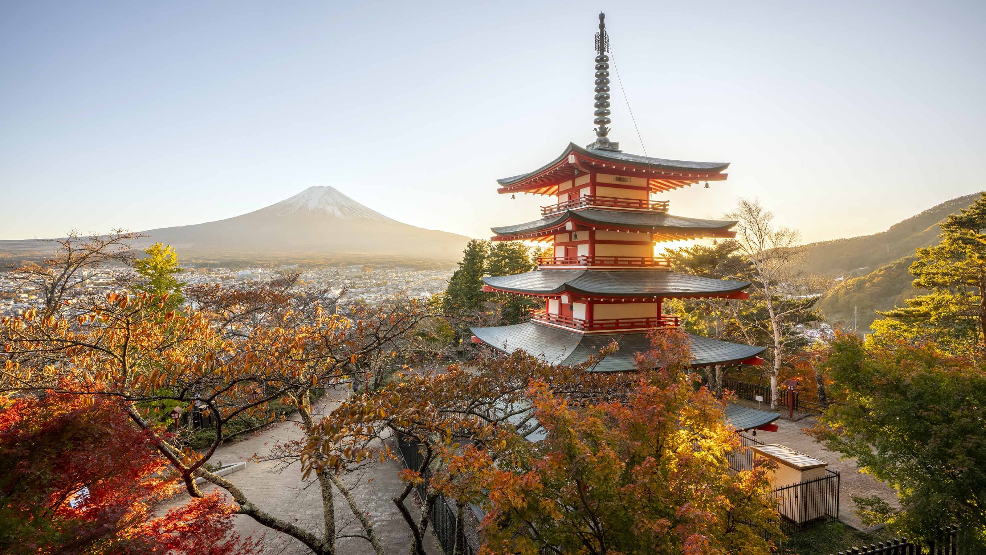 6. Japan