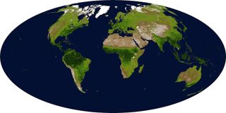 Global vegetation on Earth