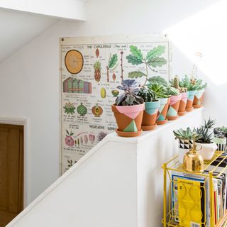 A staircase with potted plants on the ledge, a poster about plants on the wall and a yellow metal bookshelf