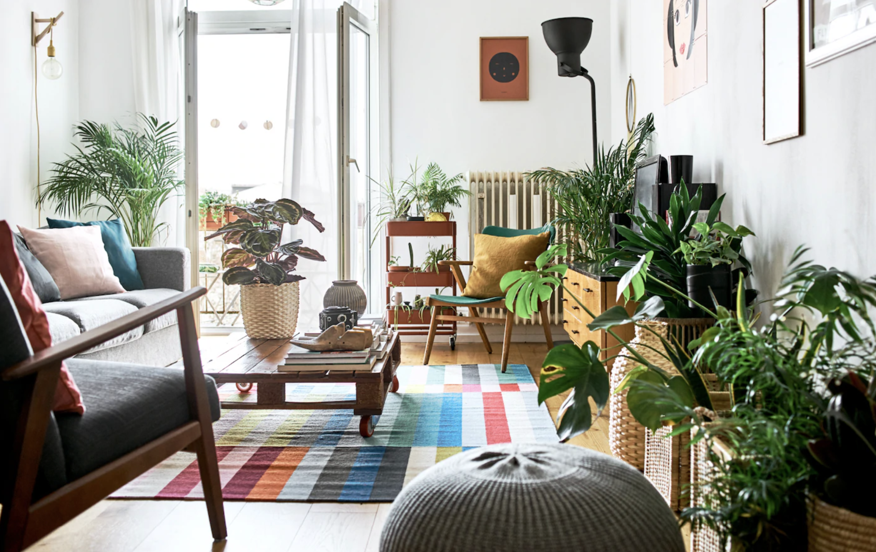 Small apartment living room with house plants