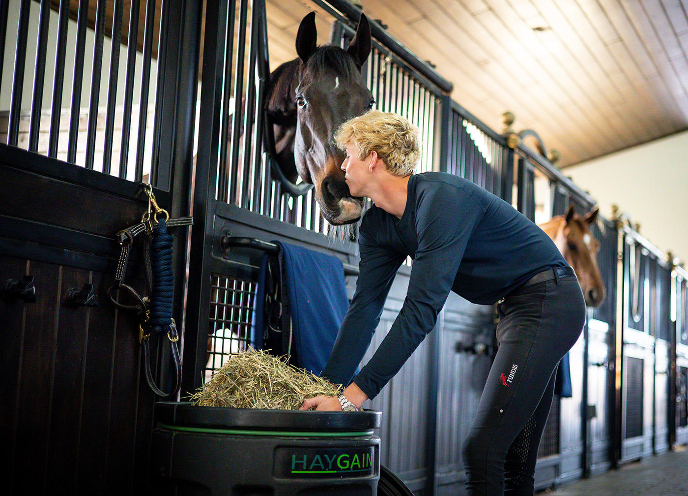 A horse being fed Haygain steamed hay