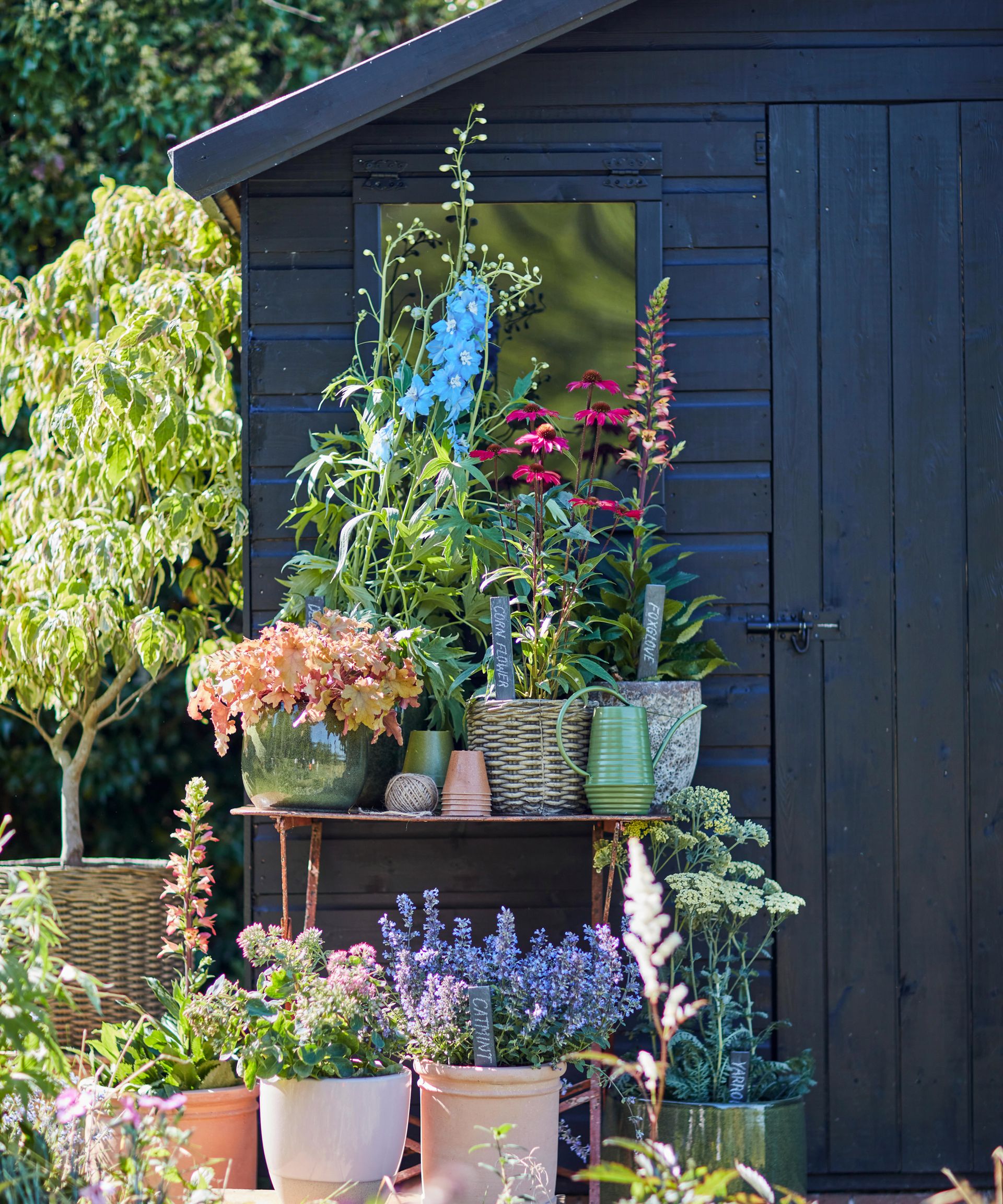 13 striking shed paint ideas for a speedy garden update Real Homes