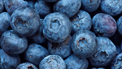 Close up of bunch of blueberries - stock photo