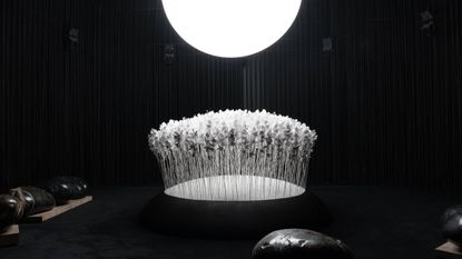 atmospherically lit installation