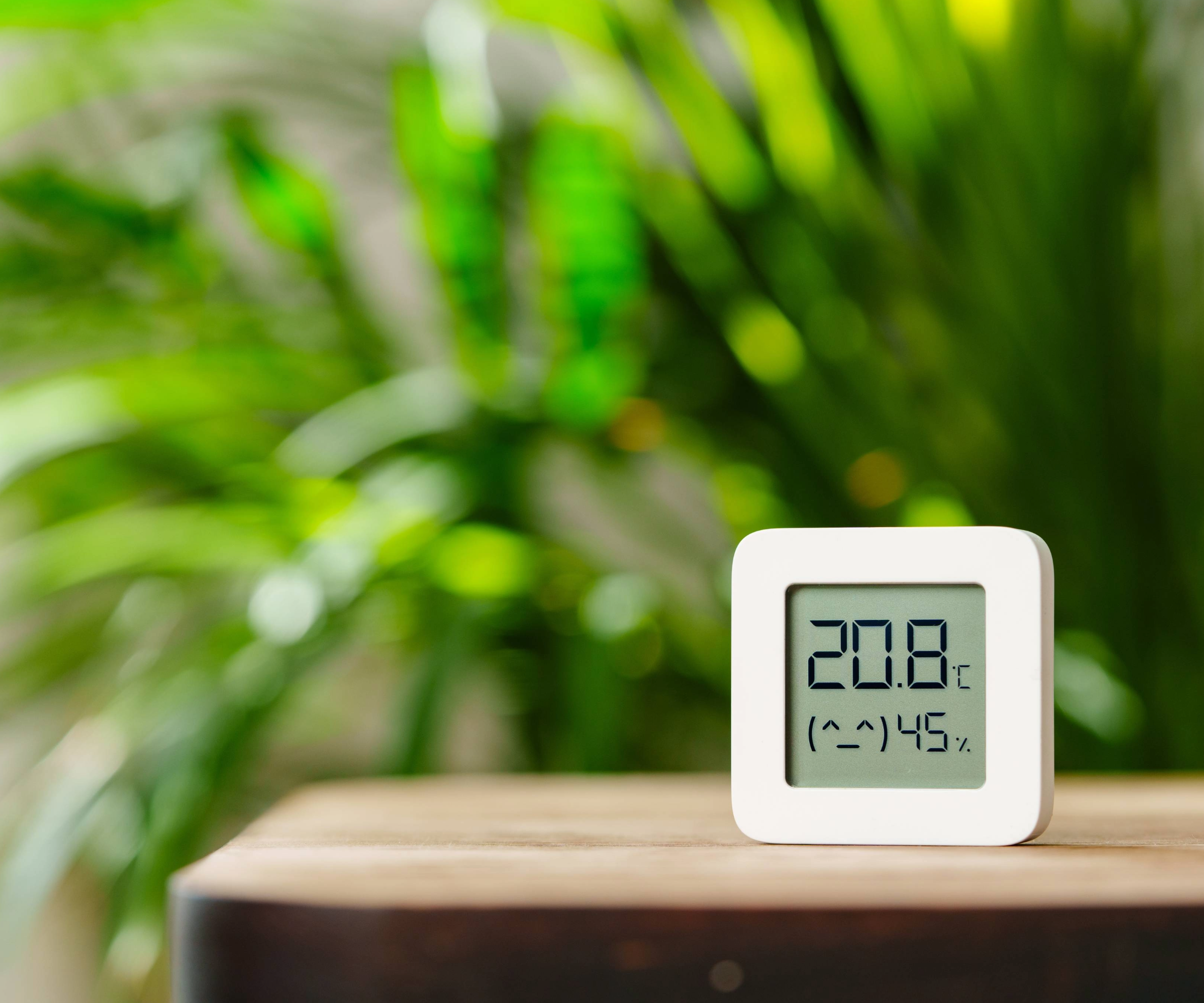 Humidity and temperature monitor on a wooden table in front of a green plant