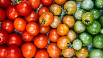 Ripening tomatoes from green to red