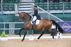 Michael Eilberg and MSJ Encore win the Saracen Horse Feeds inter I freestyle gold and are crowned inter I supreme champions at the 2025 LeMieux National Dressage Championships.