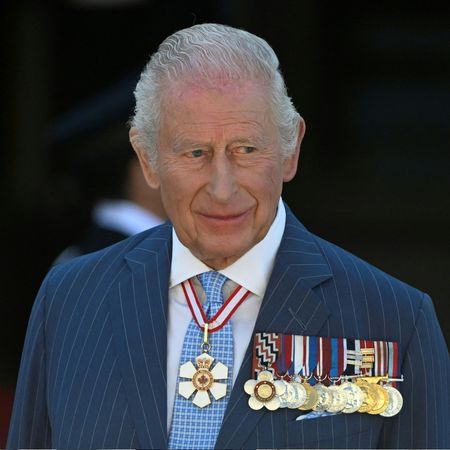 King Charles wearing a blue striped suit with medals