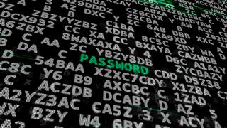 A render of a black computer screen whit random white characters indicating a bank of passwords, with the word password highlighted in green text