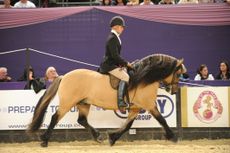 Stirlingdene and Frazer Atherden