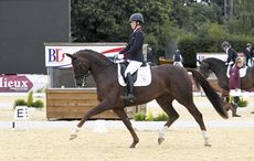 Charlotte Dujardin - Brioso