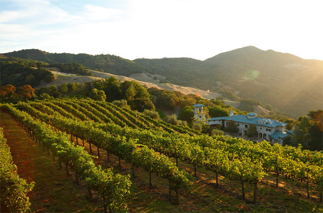 Vines at Villa Sorriso, the Pontet-Canet owner's new estate in Mount Veeder AVA, Napa Valley.