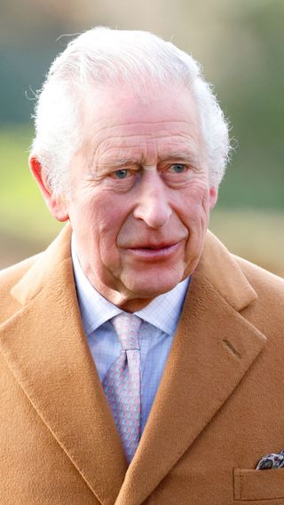King Charles wearing a dinosaur tie.