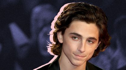 Timothée Chalamet's Hair Has Been Through a Lot in 2018