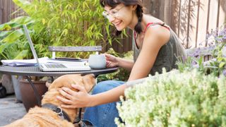 Woman greeting a dog 