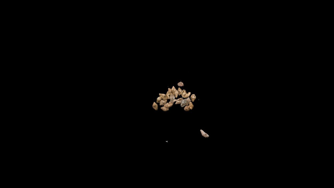 A pile of shells were found in the infant girl's burial.