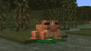 Minecraft - An orange frog sits on a lilly pad in a swamp biome.