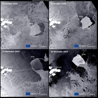 a grid of four images shows the drift of an iceberg over time.