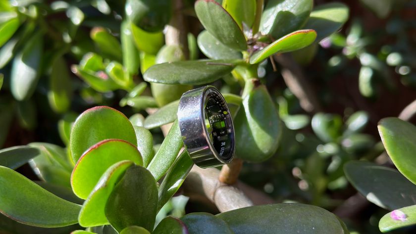 The Ultrahuman Ring Air perched on a succulent leaf.