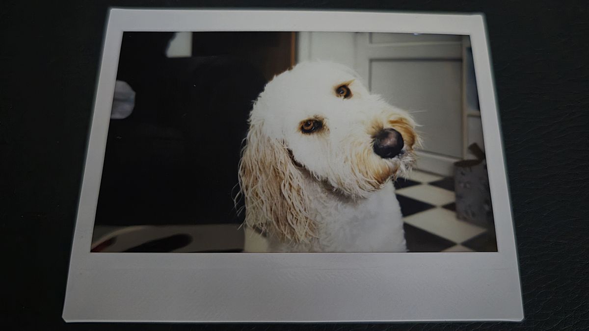 Fujifilm Instax Wide 400 review sample images