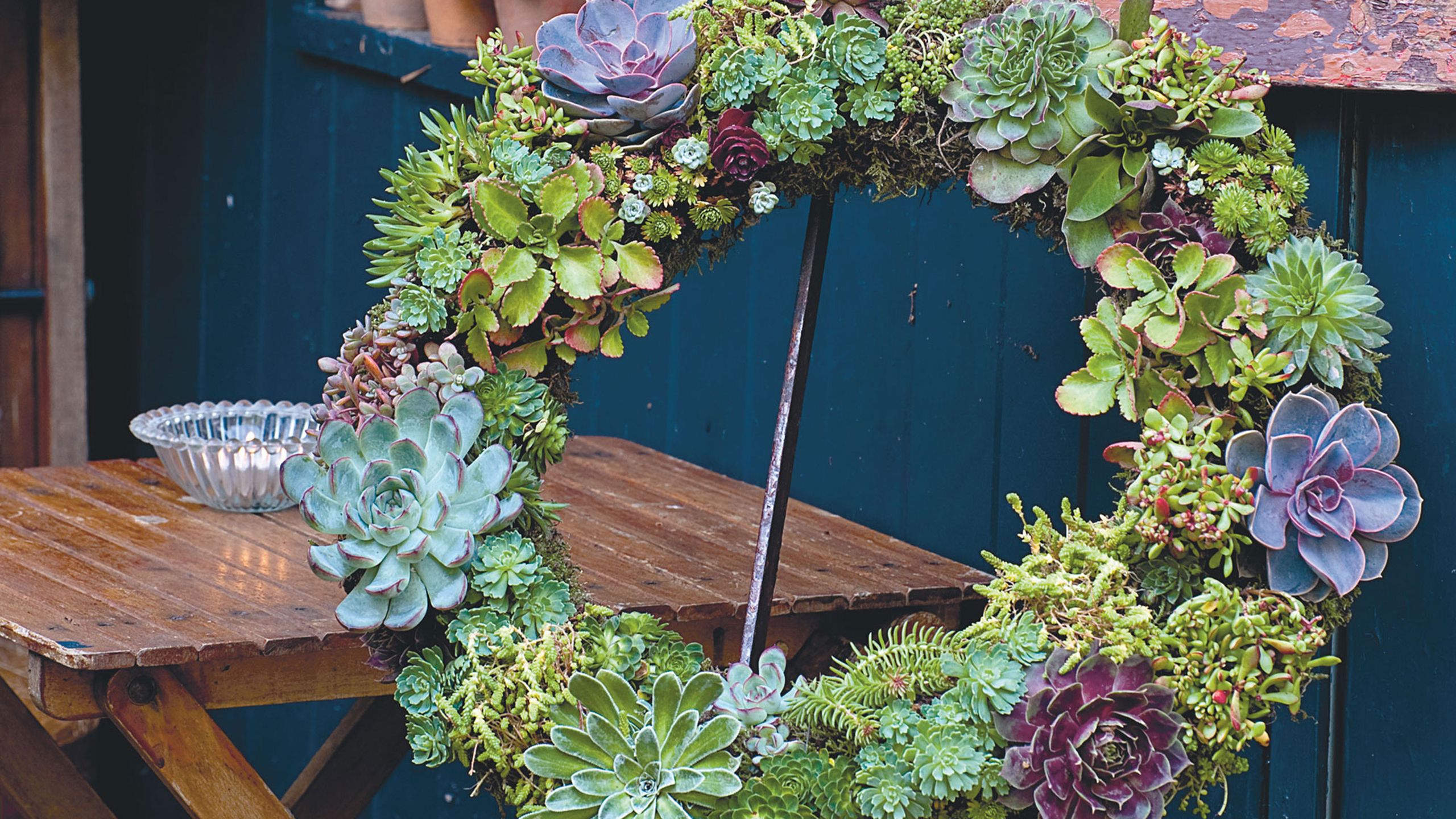 How to make a succulent wreath in 5 simple steps | Gardeningetc
