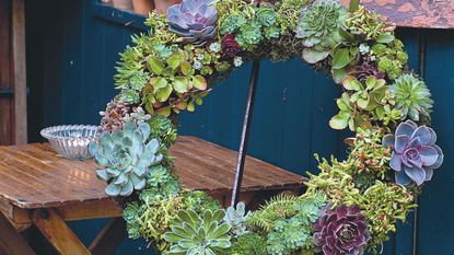 How to make a succulent wreath