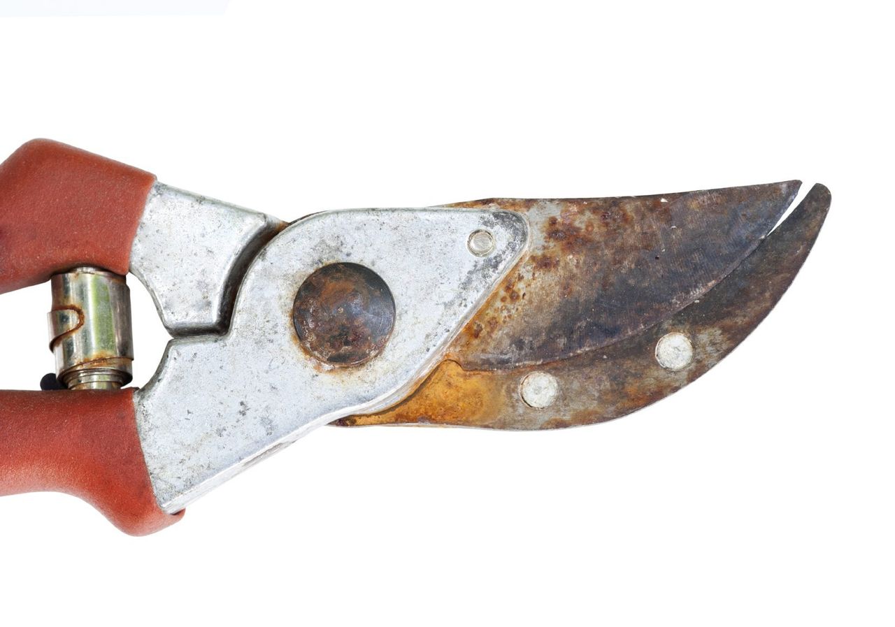 Rusted Garden Clippers