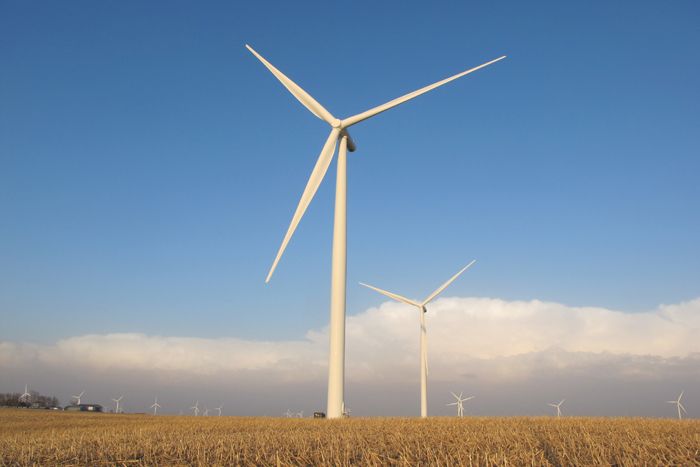 wind farm, wind power, green energy