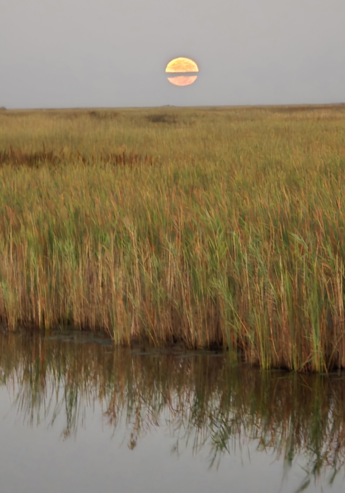 The full moon rises over the Florida Everglades on Nov. 15, 2024.