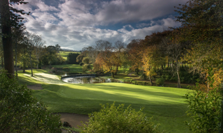 A par-3 at Druids Glen Golf Club pictured